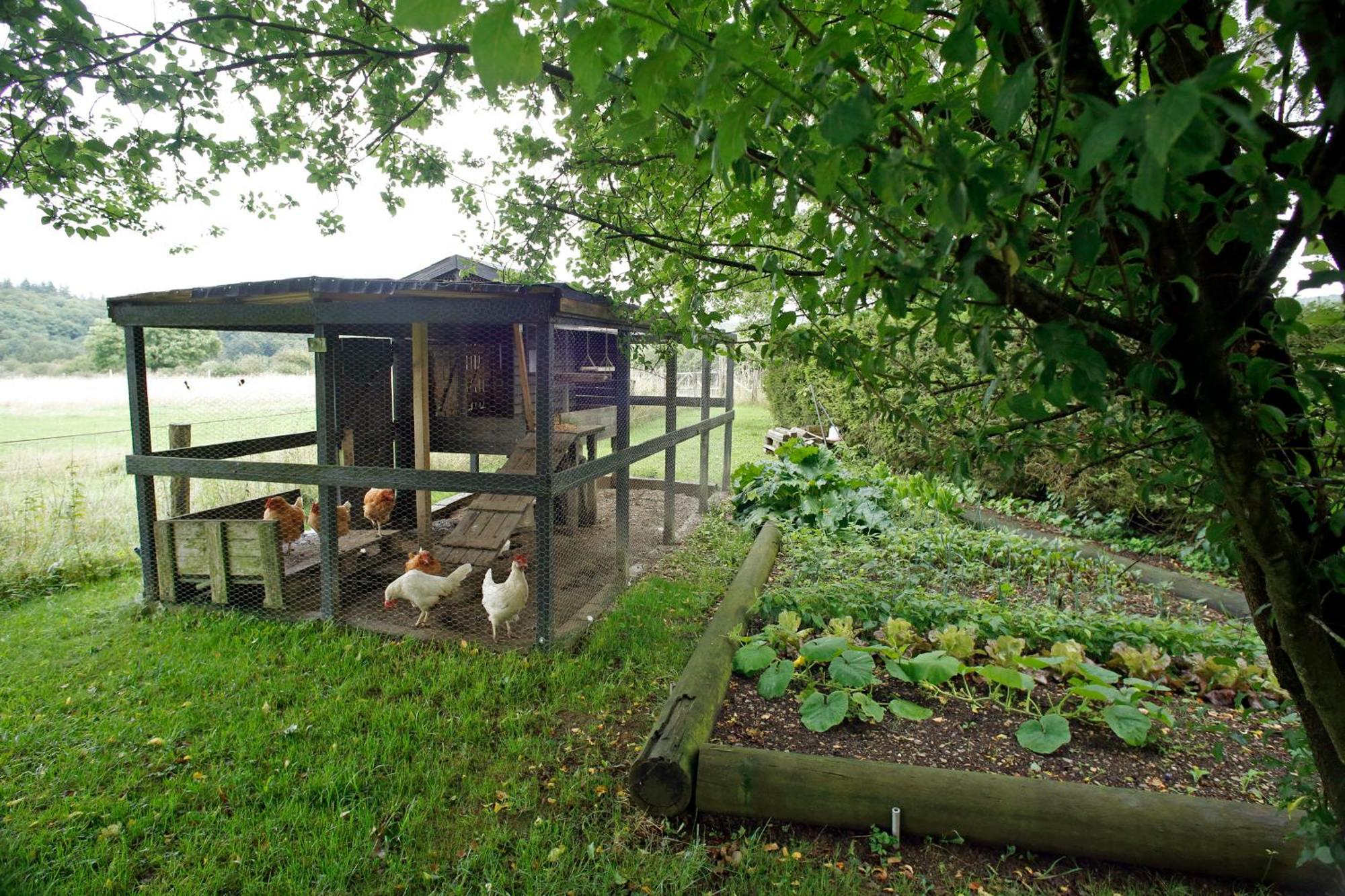 B&B Au Coq En Pate Jalhay Exterior foto